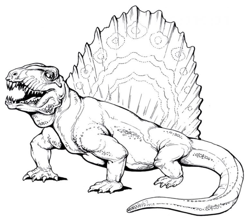 Раскраска Динозавры Мегараскраска для малышей